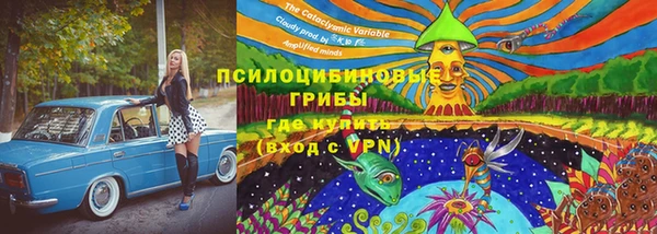 PSILOCYBIN Богородицк